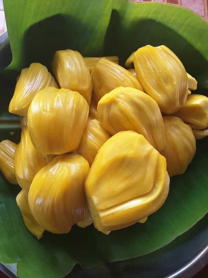 Traditional Kokan speciality Ripe Jackfruit presented in its local setting